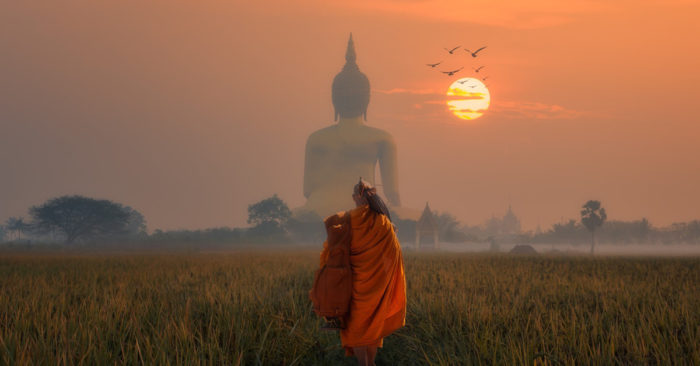 Nhân quả báo ứng như hình với bóng: Ông lão trăm tuổi đi tìm Đức Phật