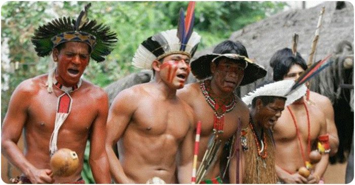 Lễ trưởng thành của các chàng trai bộ lạc Sateré-Mawé, Amazon, Brazil
